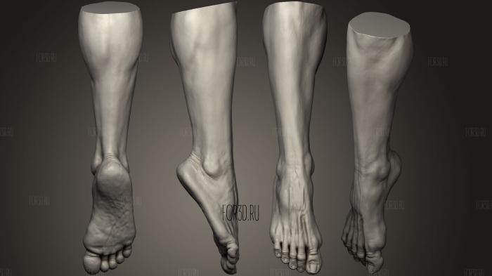 Male Foot 1018